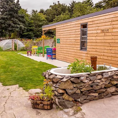 The Black Sheep Hostel-3